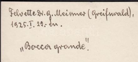 1925 Dr. G. Meissmer: Bocca grande, feliratozva, 9x12 cm