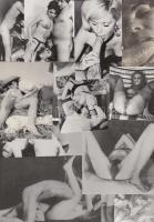 cca 1960-1970 Pornófotók, 13 db, 15x11 és 5x6 cm közötti méretben.