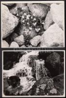 cca 1930-1940 Katona Lydi: Magas-Tátra, 2 db természetfotó, pecséttel, német nyelvű felirattal, 13x18 cm