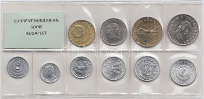 1989. 2f-20Ft 10db klf érmés forgalmi sor fóliatokban T:1