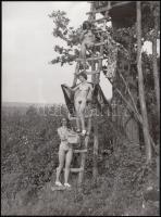 cca 1960-1970 Naturisták a természetben, erotikus fénykép, 24x18 cm.