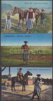 7 db régi, hortobágyi, folklór témájú lap / 7 old Hortobágy postcards, folklore