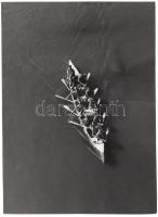 cca 1930-1940 Reich Péter Cornel: Kenu a Dunán, vintage fotóművészeti alkotás, hátoldalán pecséttel jelzett, 13x18 cm.