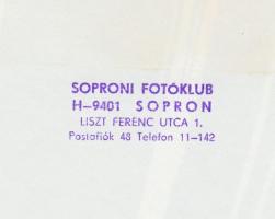 cca 1970-1980 Fodor Ferenc: A szónok, vintage fotóművészeti alkotás, pecséttel jelzett, 24x18