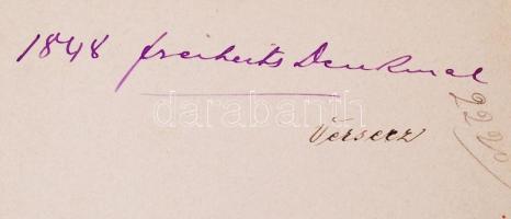 1898 Versec szabadságharcos emlékmű fotó / 1898 Versec monument of the 1848/49 freedom-fight 13x16 c...