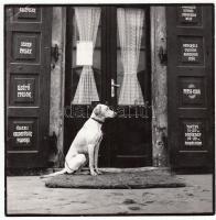 cca 1970-1980 Csigó László: Gazdira várva, vintage fotóművészeti alkotás, pecséttel jelezve, 16x16 cm, bal felső sarkán törésvonal.