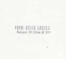 cca 1970-1980 Csigó László: Gazdira várva, vintage fotóművészeti alkotás, pecséttel jelezve, 16x16 c...