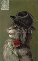 Cat, hat, litho (small tear)