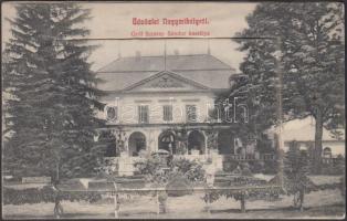 Nagymihály Gróf Sztáray Sándor kastélya, leporello, benne Landesman Vilmos gőzmalma és villanytelepe, Aranybika szálloda, állami elemi iskola / castle, leporello with the mill of Vilmos Landesman, Hotel 'Aranybika', public school (wet damage)