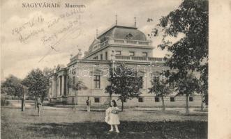 Nagyvárad múzeum / museum, collage (EK)