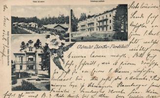 1899 Bártfafürdő Felső úri utca, Széchenyi szálloda, Őzika villa / street, hotel, villa, Divald, floral