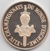 Lebó Ferenc (1960-) 1991. "Budapest Vívó Világbajnokság / MVSZ" ezüstözött Br emlékérem T:...