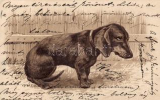 Dog Emb. litho