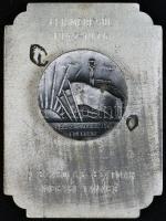 1970. "Elismerésül 1945-1970 A Szabolcs-Szatmár Megyei Tanács Felszabadulásunk Emlékére" fém plakett dísztokban T:2