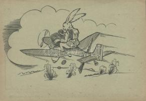 Easter, rabbit, plane (EK)