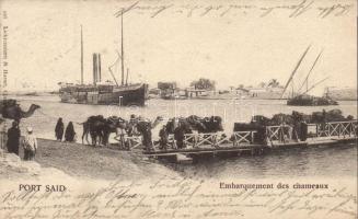 Port Said, embarquement des chameaux / camels (small tear)