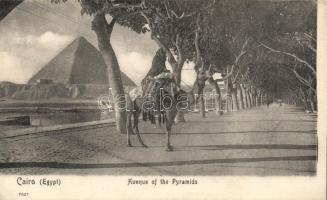 Cairo Avenue of the Pyramids