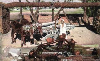 Sakkieh, water-wheel, Egyptian folklore (EK)