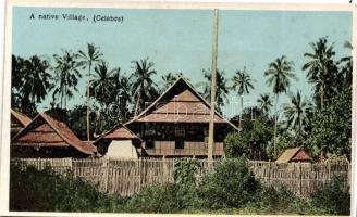 Sulawesi (Celebes) native village