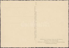 Erlangen, Freimaurerloge ,,Libanon zu den 3 Cedern", Rückansicht des Tempels / freemason lodge,...