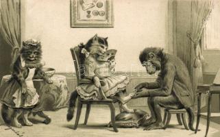 Cat, monkey, pedicure Emb. litho (EK)