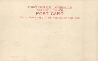 Playing a rubber, Ceylon, cards, folklore