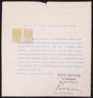 1934 Keszthely, Szolgálati bizonyítvány Várnai Tivadar okleveles erdőmérnök számára Herceg Festetics Főerdőhivatalától.