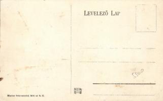 Budapest, Bleriot gépe a Duna felett