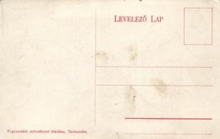 Tarnaméra, községháza