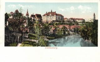 Segesvár with castle