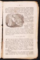 Királyhegyi Müller János: Csizió, avagy: az astronomiai tudománynak rövid értelemmel való leírása. ....