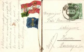 Baron Gautsch, Österreichischer Lloyd, litho flag on the backside (fl)