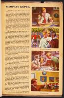 Kárpáti képek Szent István cikóriagyár kiadása. Komplett képes irredenta gyűjtőmappa