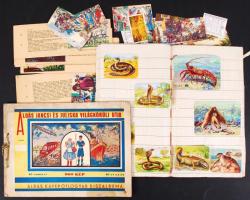 Áldás Jancsi és Juliska világkörüli útja Szent István cikóriagyár kiadása. Nem komplett képes  gyűjtőmappa + Litho állat és növény gyűjtőképek