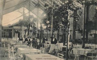 Losonc, Vigadó kerthelyiség / redoute garden