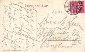 1908 Pozsony, Fehér kereszt ünnepély / charity ball, floral