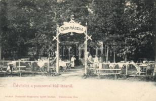 Pancsova, Kiállítás, cukrászda / Expo, café