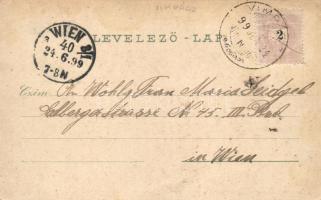 1899 Vimpác, Wimpassing bei Wiener Neustadt; Seiden-Spinnerei / factory, litho