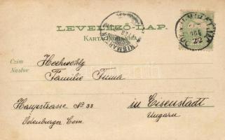 Alsómiholjác, Donji Miholjac; synagogue, litho