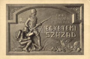 M. Kir. Honvéd Gyalogezred, Egyetemi Század emléktáblája / Hungarian military memorial