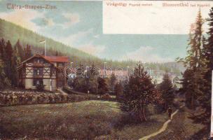 Tátra Szepes Virágvölgy Litho (EM)