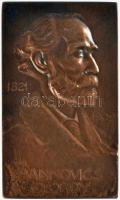 Gárdos Aladár (1878-1944) 1906. "Joannovics György 1821-1909" Br emlékplakett (50x30mm) T:2 HP 2483.