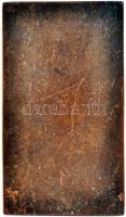 Gárdos Aladár (1878-1944) 1906. "Joannovics György 1821-1909" Br emlékplakett (50x30mm) T:...
