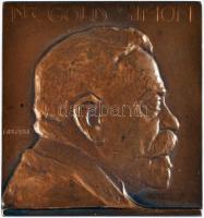 Murányi Gyula (1881-1920) ~1908. "Dr. Gold Simon" Br emlékplakett (55x51mm) T:2 HP 3688.