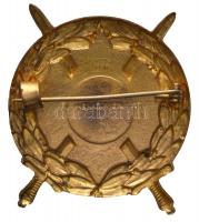 Ausztria ~1933. "Ostmark Rohamosztagai Katolikus Védszövetség (Ostmärkische Sturmscharen)"...