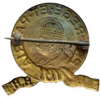 Osztrák-Magyar Monarchia 1914- "I. Honvéd huszárezred - PRO REGE ET PATRIA" aranyozott tom...