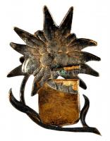 ~1930. "Magyar Turista Egyesület" hivatalos jelvénye, zománcozott fém (havasi gyopár benne...