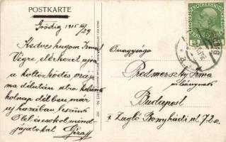 Salzburg, bull, humour