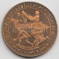 Bognár György (1944-) 1998. "MÉE - Ferencvárosi Torna Club FTC XI." fényezett Br emlékérem...