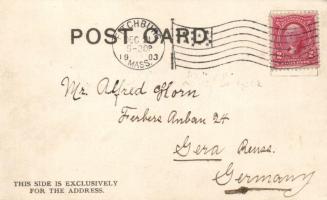 New Year, cat lady, litho